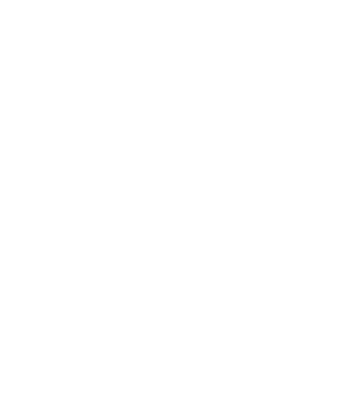 flying birds