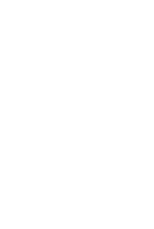 flying birds
